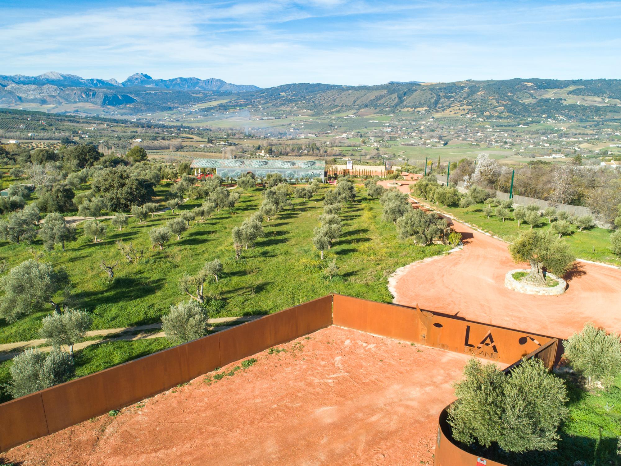 Cortijo La Organic Otel Ronda Dış mekan fotoğraf