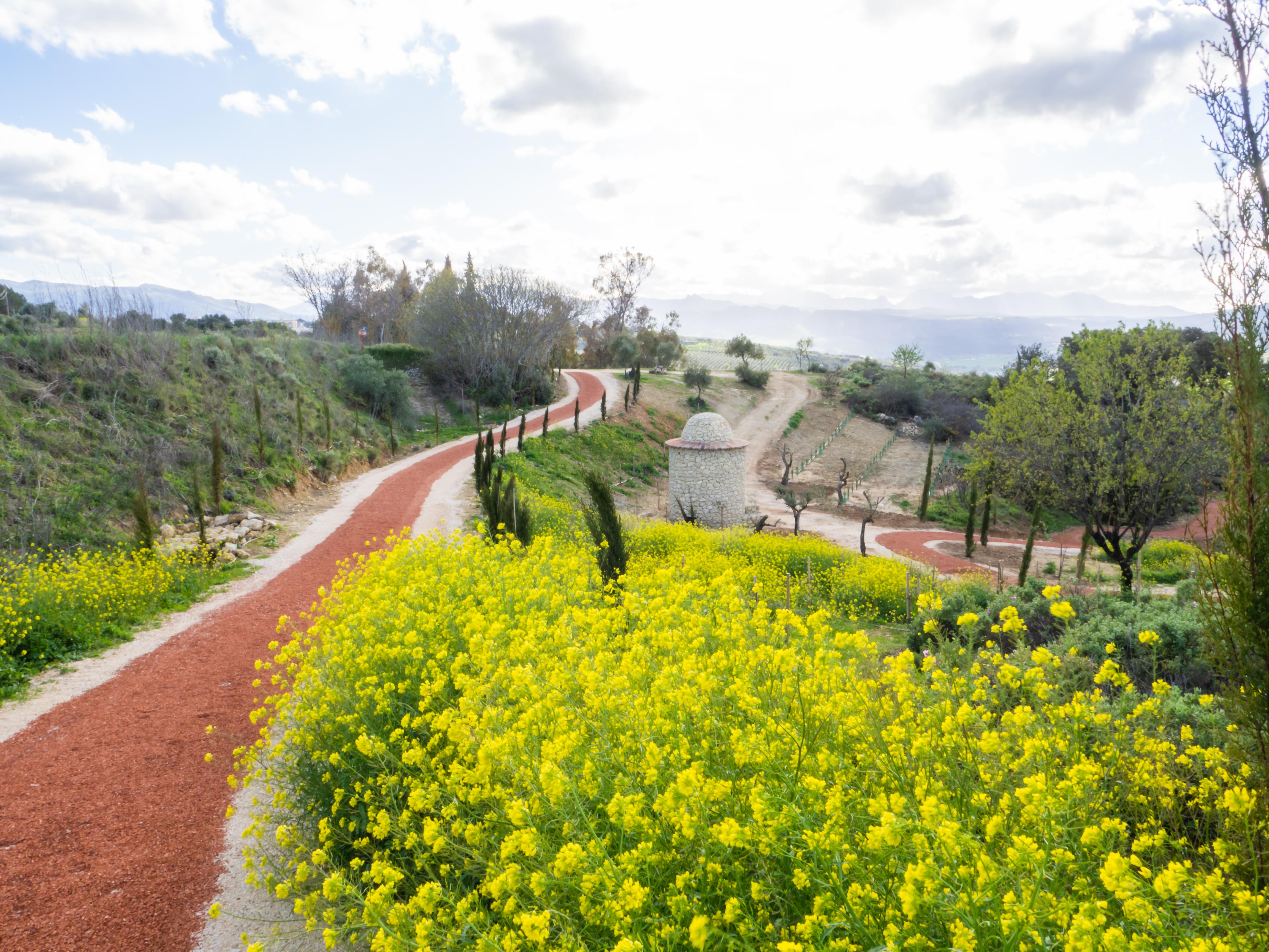 Cortijo La Organic Otel Ronda Dış mekan fotoğraf