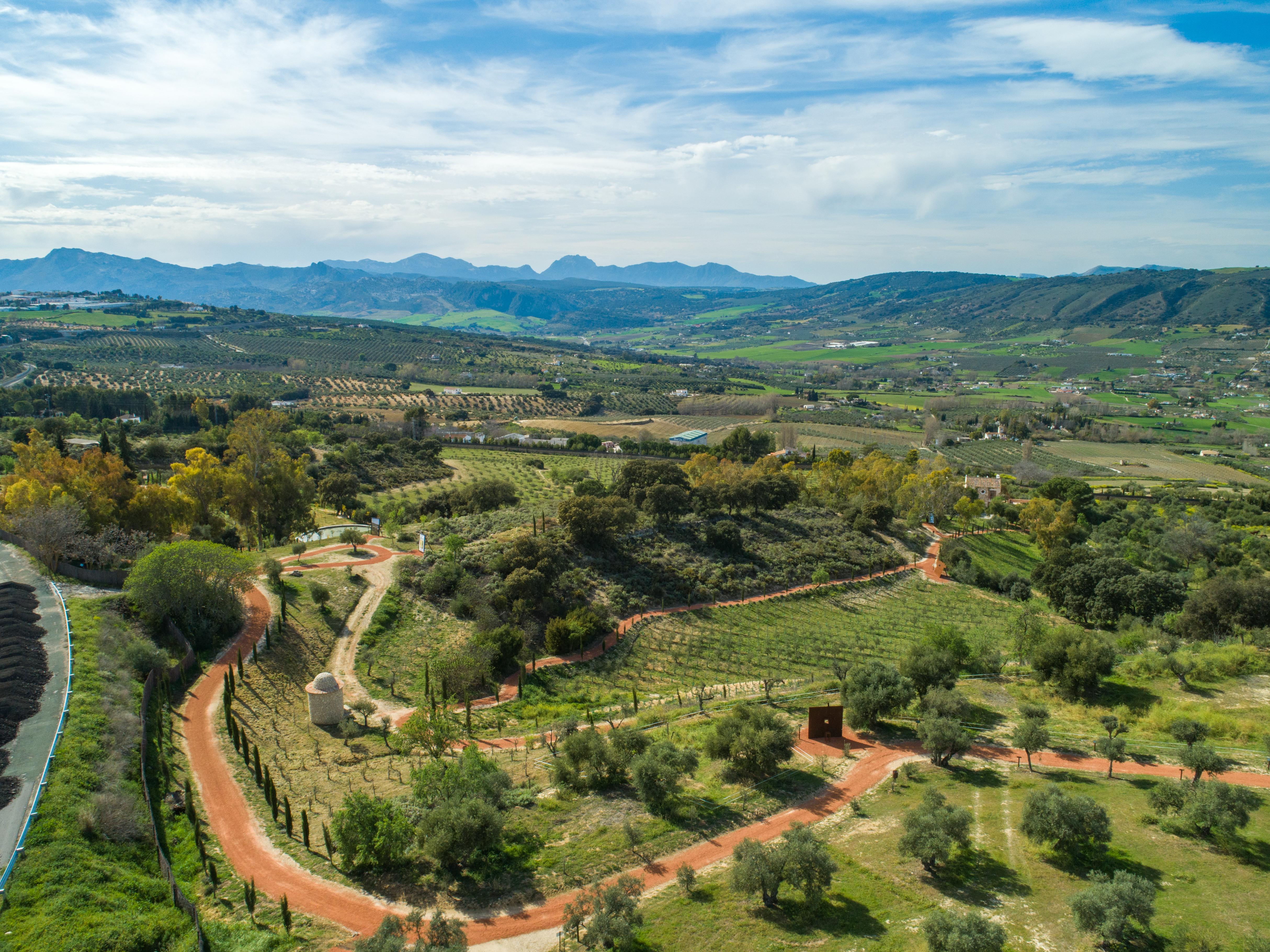 Cortijo La Organic Otel Ronda Dış mekan fotoğraf