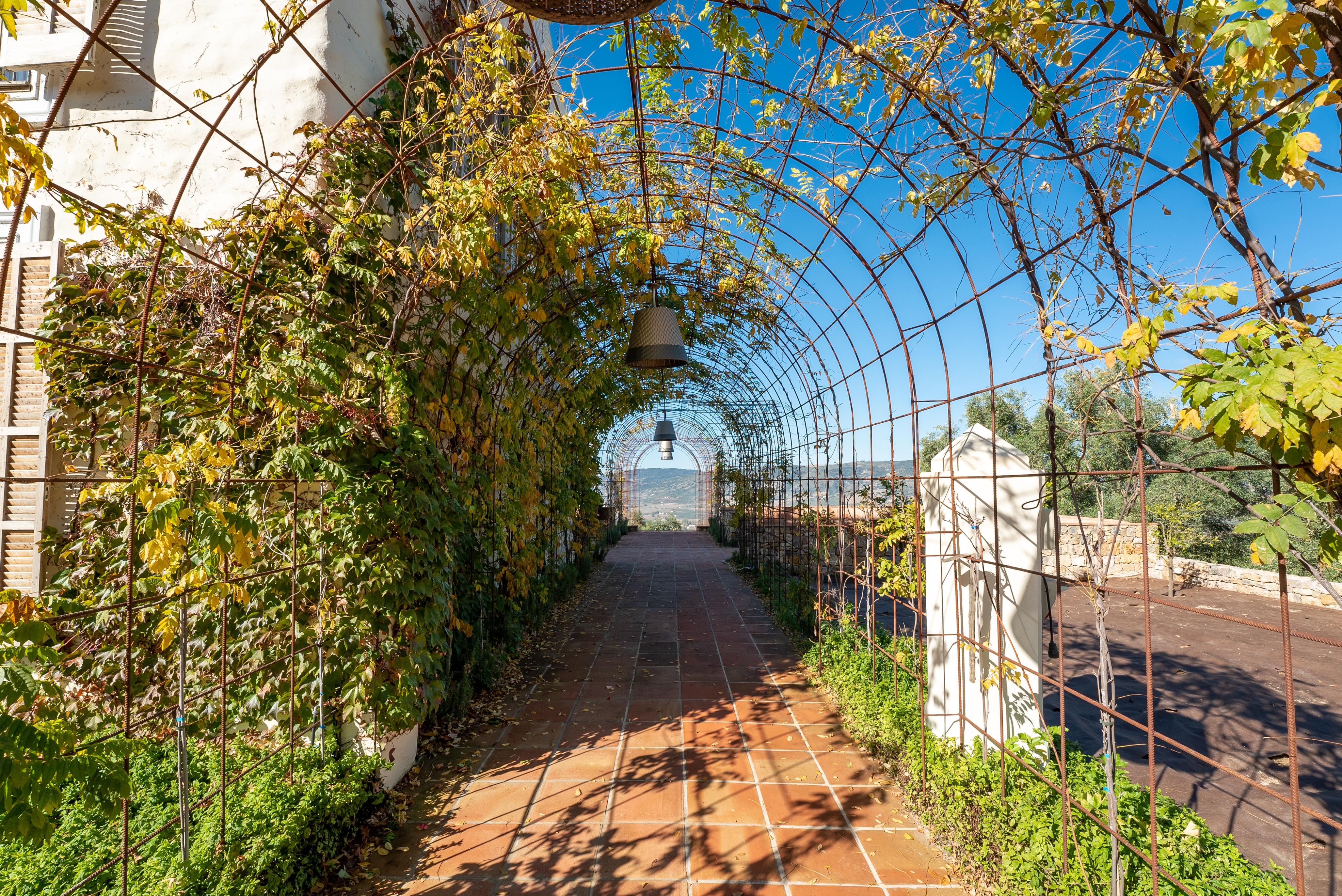 Cortijo La Organic Otel Ronda Dış mekan fotoğraf