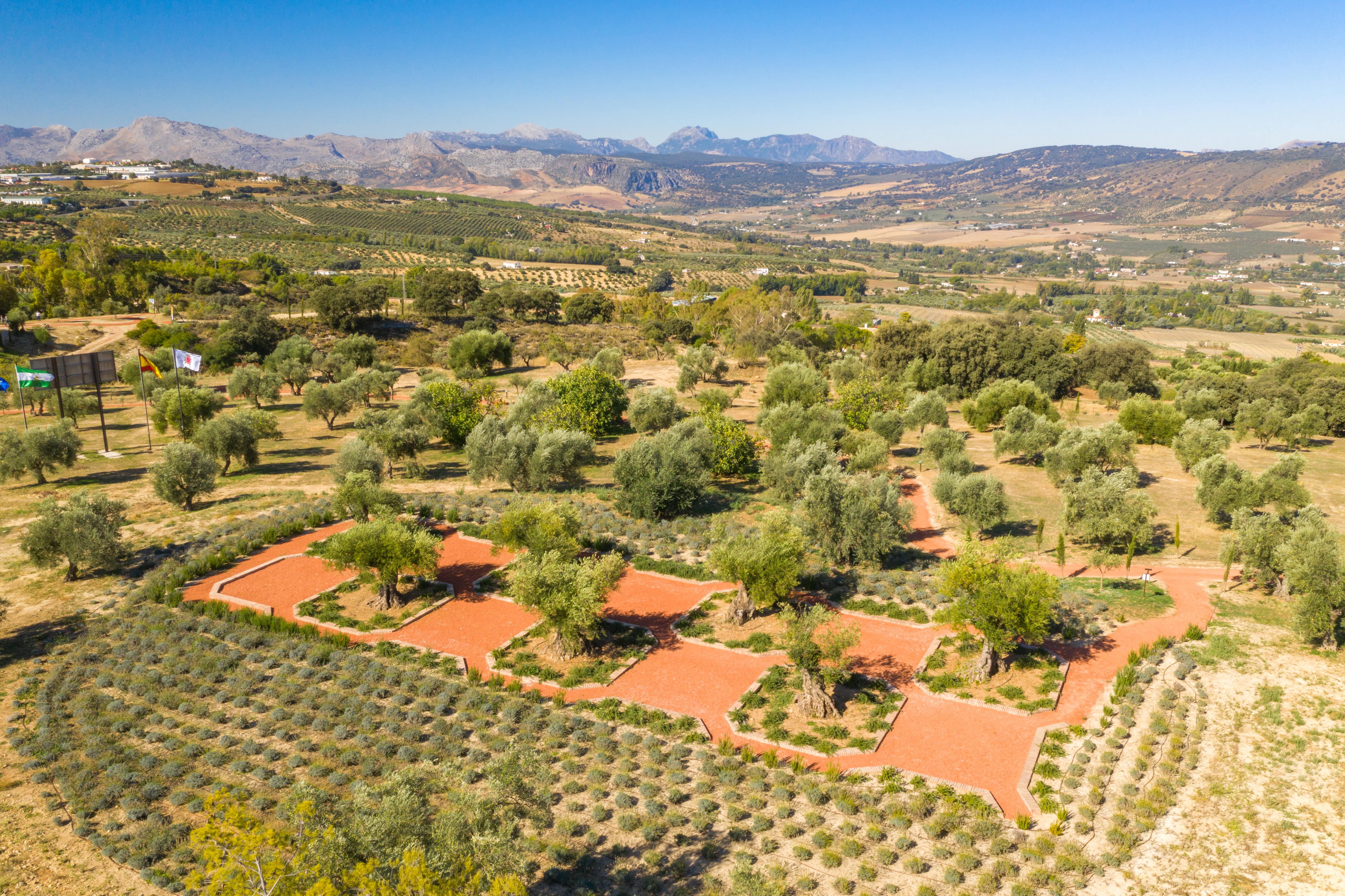 Cortijo La Organic Otel Ronda Dış mekan fotoğraf