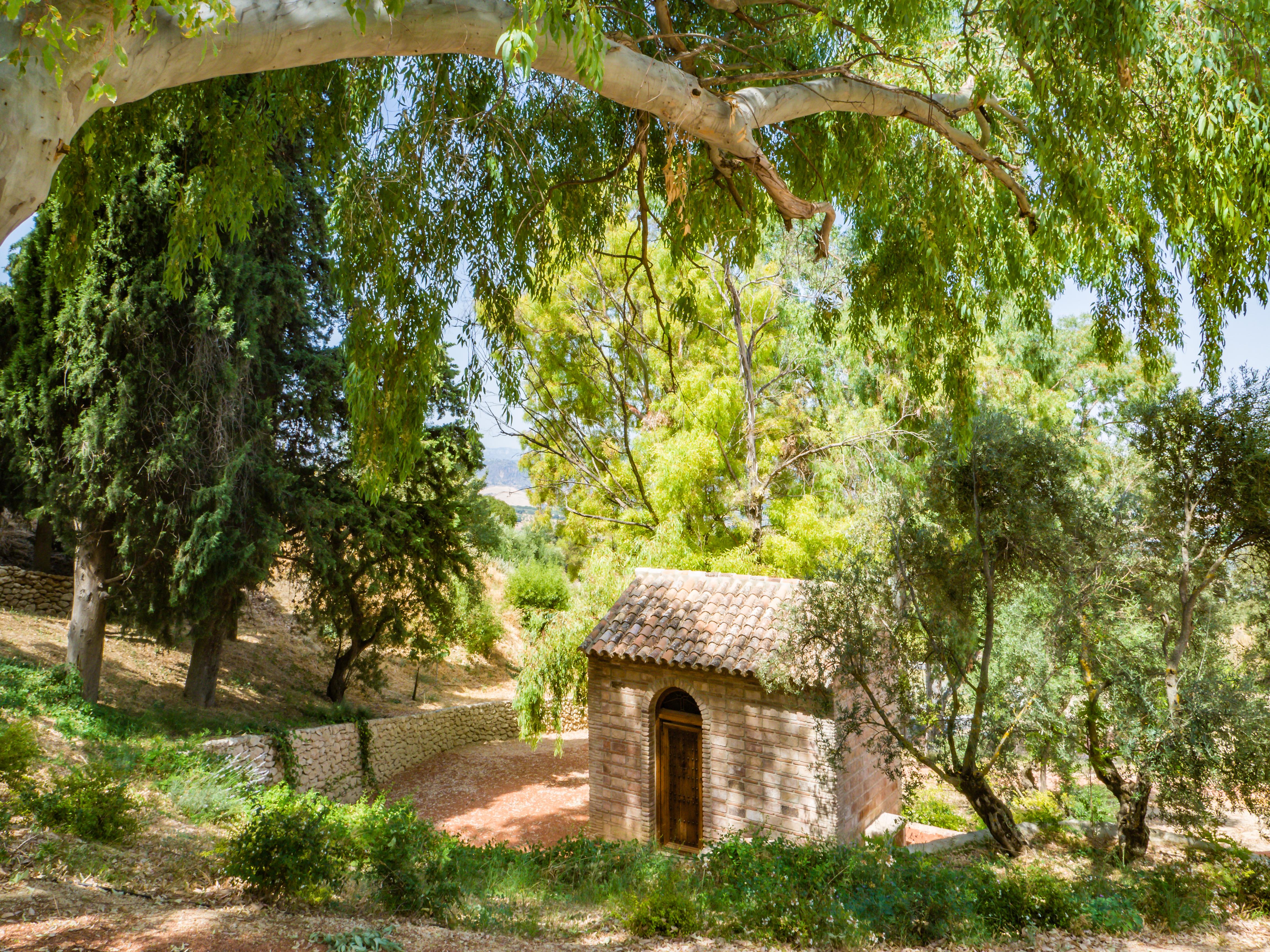 Cortijo La Organic Otel Ronda Dış mekan fotoğraf
